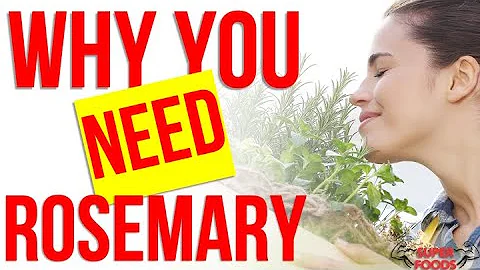 USE Rosemary against DEPRESSION + 10 Rosemary Bene...