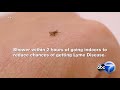 How to avoid a tick bite