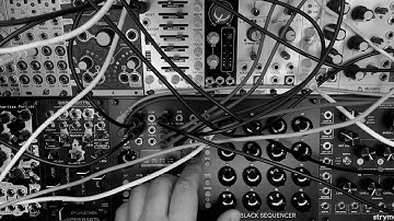 Erica Synths Black Sequencer Making Random Generative Beats