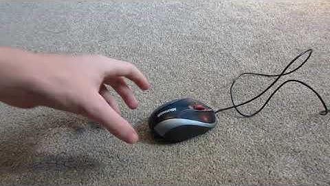Microsoft notebook optical mouse 3000
