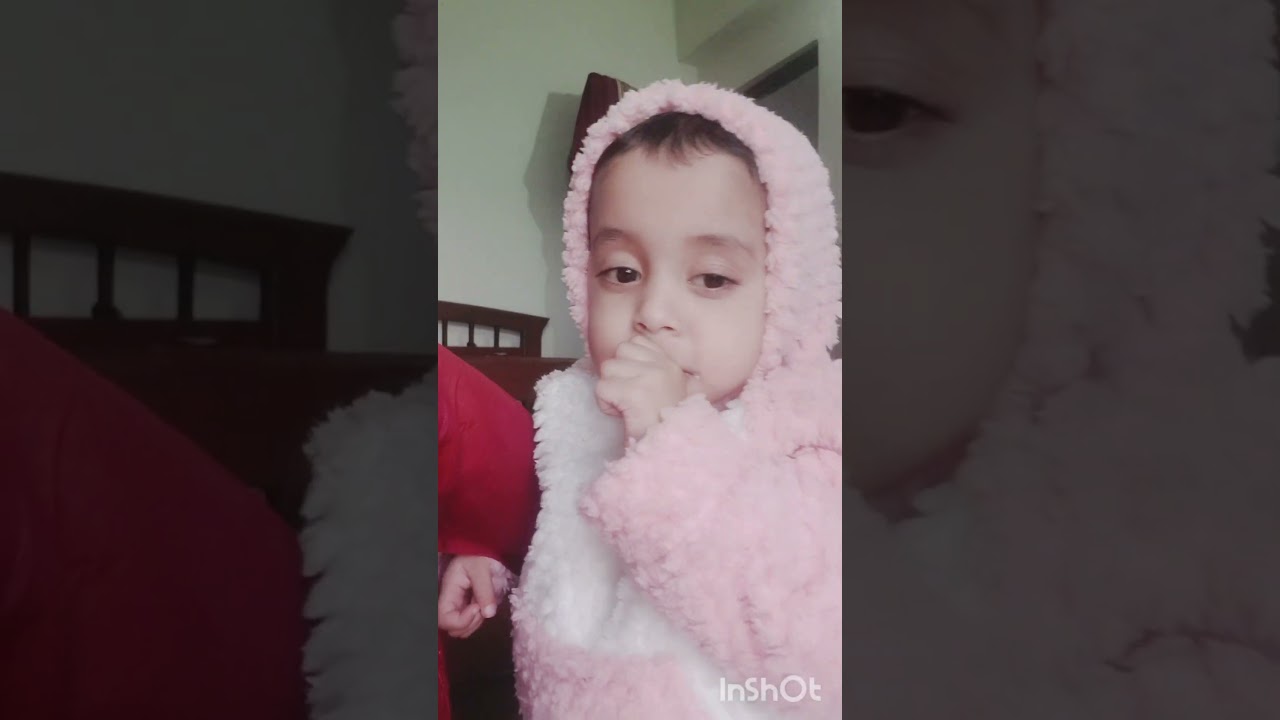 Baby Shark | Mommy Song | Nursery Rhymes & Kids Songs | KidZone Kingdom 