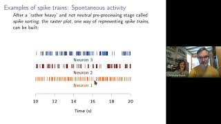 Stochastic Modeling Of Interacting Neurons Systems