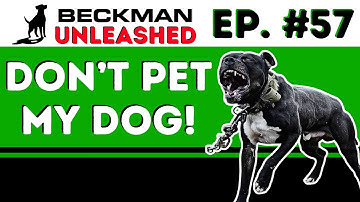 Only Common Sense can Stop Dog Bites - Learn the 3 Rules to keep everyone Safe
