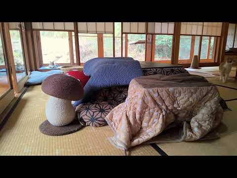 垂れ流し配信‗夜‗20260303