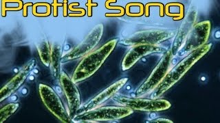 Protist Song