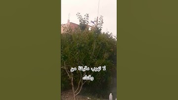 #إسلام_صبحي #تلاوة_هادئة #إكتب إسم من أسماء الله الحسنى فضلا وليس أمرا