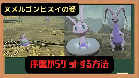 تحميل ポケモン アルセウス ヌメラ Mp4 Mp3