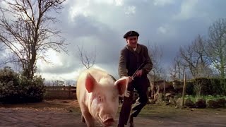 Gaston's Pig - Lords of the Animals (Documentary in English) by Show Me the World 4,770 views 2 months ago 23 minutes