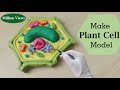 Simple and Easy way to make plant cell model |3d styrofoam carving