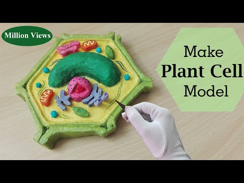 Simple and Easy way to make plant cell Hexagone shape model |3d styrofoam carving