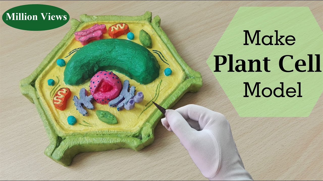 Simple and Easy way to make plant cell Hexagone shape model |3d styrofoam  carving - YouTube