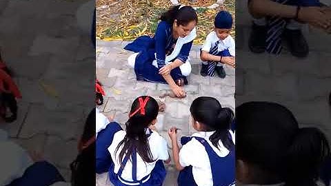 IGNOU DECE-4 PROJECT WORK VIDEO 2025 PHASE-3, DAY-5 (ACTIVITY-4)