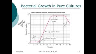 ENE 483 Fall 2021: Population Dynamics