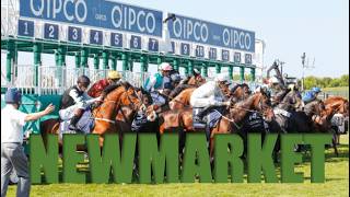 NEWMARKET ROWLEY [NEW GENERATIONAL 88% CHANCE ANALYSED CARDS]