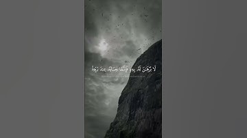 تلاوة هادئة ارح قلبك |القارئ محمد بن خالد المبارك #quran #القرآن_الكريم #آيات #سبحان_الله