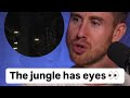 The jungle has eyes 👀