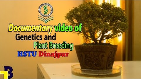 Introduction of Genetics and Plant Breeding of HSTU Documentary || হাবিপ্রবি দিনাজপুর