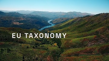 What is the EU Taxonomy? Explained: Regulation and Reporting for Sustainable Activities