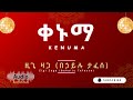 Ziggy Zaga Kenuma Audio ዚጊ ዛጋ ቀኑማ በድምፅ Ethiopian Music