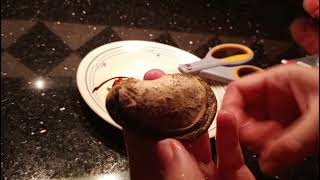 How to sprout a mango from seed