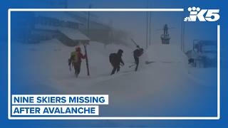 Nine skiers go missing after avalanche