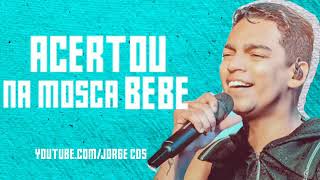 Acertou Na Mosca Bebedevinho Novaesmúsica Nova