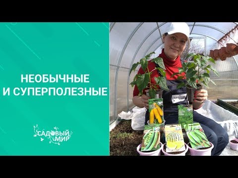 Супер полезные, необычно вкусные. Сеем  Армянский огурец,  Бамию и  капусту  Кале.