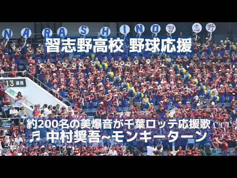 習志野高校 美爆音野球応援「千葉ロッテ 中村奨吾応援歌前奏～モンキーターン（チャンステーマ3）」（千葉県高校野球応援2019）