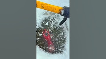 Found a Frozen Raddy Under The Ice | INCREDIBOX SPRUNKI in REAL LIFE