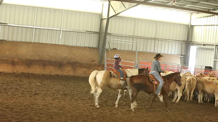 Alberta Cattlemens Penning ACPSA