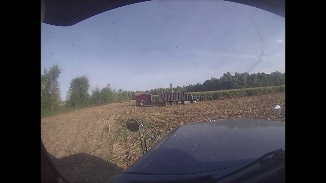 Weekend Corn Cutting Grand Isle Vermont YouTube