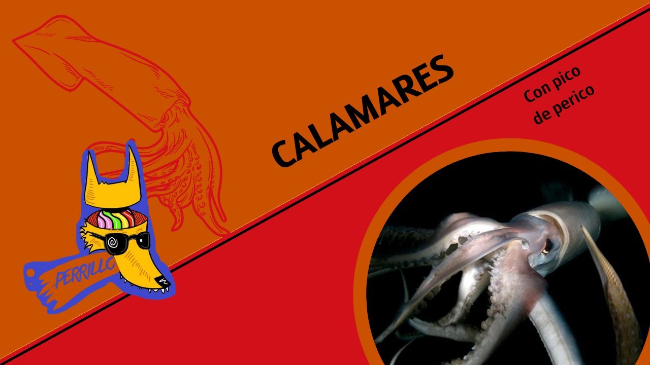 Calamares: Cthulhu original| Ep 120| CULTURA COLMILLUDA