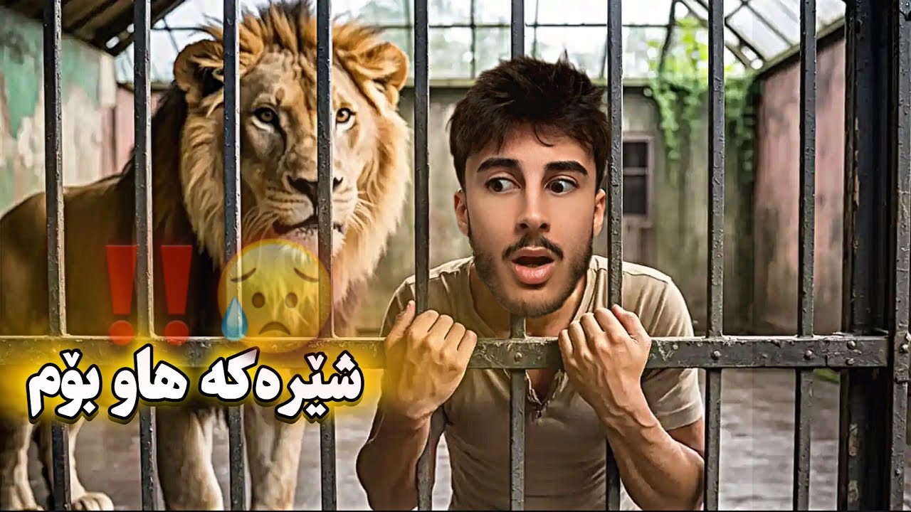 ڤڵۆگێک بەرە و کوێ ڕۆشتین ؟ شێر هاو بۆمان 😳‼️ | VLOG