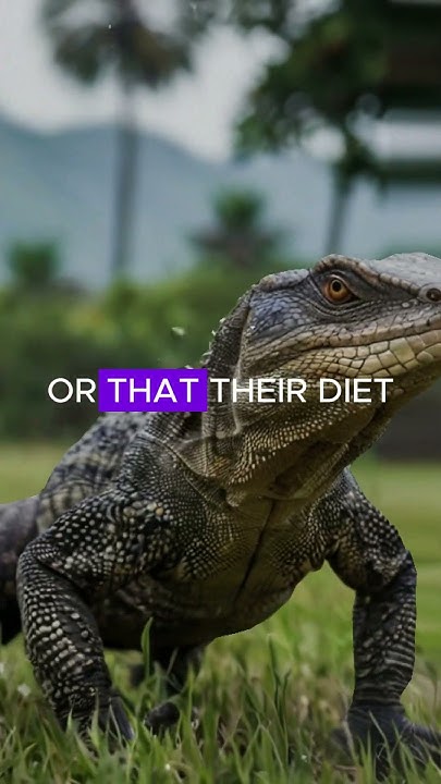 3-unknown-facts-about-monitor-lizards-unknownfacts-wildlife-facts