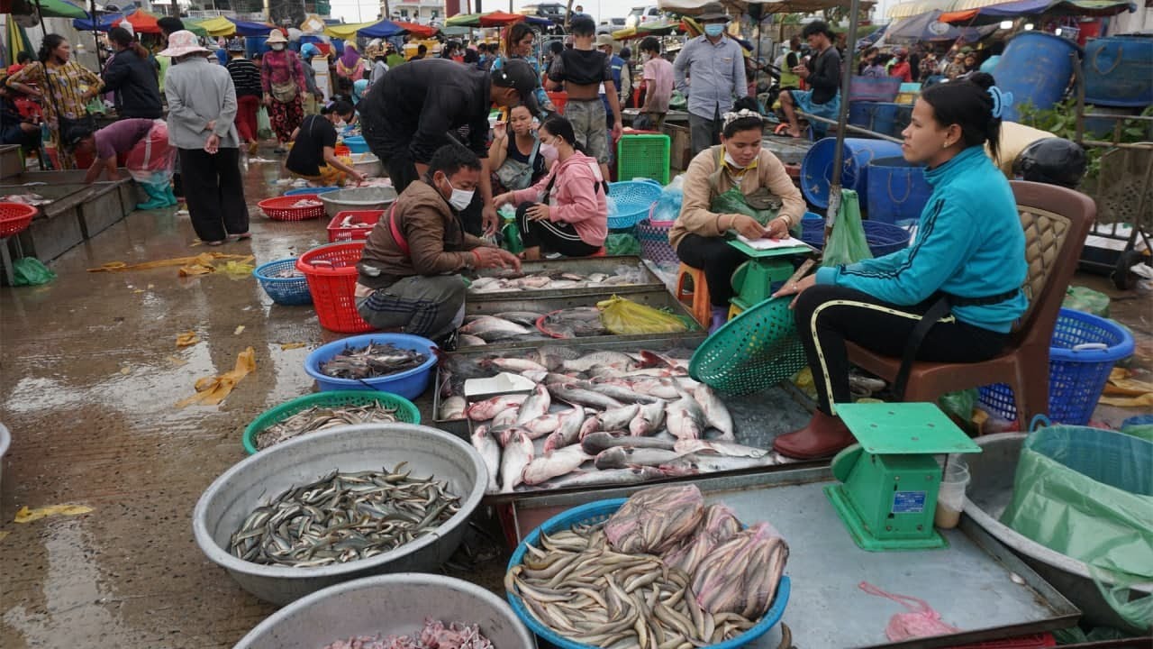 Fish Market Scene @Chhbar Ampov - Amazing Site Distribute Fish & SeaFood in Phnom Penh