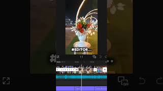lgake aag dolt me hmne ye sok palehe... editor leif 💯#editor