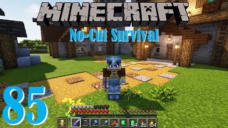 Making some Paths!: Minecraft No-Cut Survival Episode 85