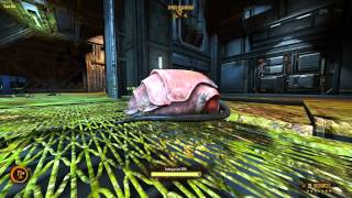 Natural Selection 2 Beta Gameplay - Alien - Tram