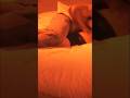 #romanticshorts #awareness #viralvideo