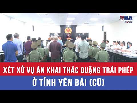 Trial of Illegal Mining Case in Yen Bai Province (Former) - VNAMedia