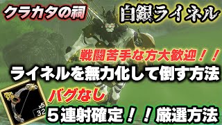 【ティアキン攻略】戦闘苦手でも倒せます!「白銀ライネル」を誰でも簡単に倒す討伐方法と獣神の弓5連の確実厳選方法を紹介しますクラカタの祠、ラネール大水源【ティアーズオブザキングダム】