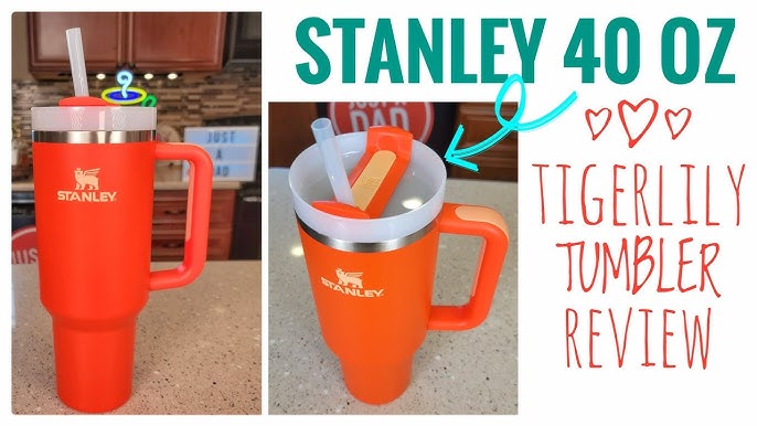 Live - Stanley 30 oz H2.0 Flowstate Tumbler Pool Color Review