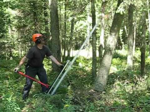 Cric abattage forestier pour diriger la chute d'un arbre 