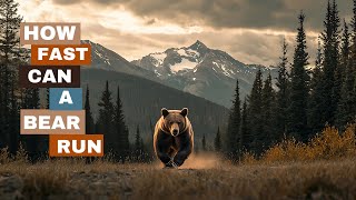 How Fast Can A Bear Run
