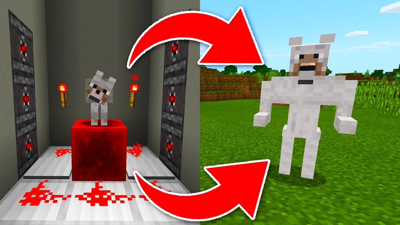 How to Spawn SECRET Mobs in Minecraft - YouTube