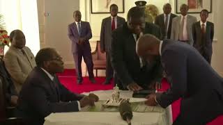 UMugabe Ufungisa Amalunga Edale leCabinet Okusemthethweni