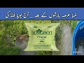 26- Urea Fertigation 15Kg Per Acre | How to Use Urea Fertilizer in Cotton fields after Heavy Monsoon