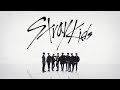 Stray Kids『SKZ2020』(Teaser)