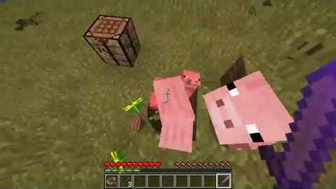 Minecraft Tutorial - How to install Fundy