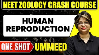 HUMAN REPRODUCTION in 1 Shot: All Concepts, Tricks & PYQs | NEET Crash Course | Ummeed